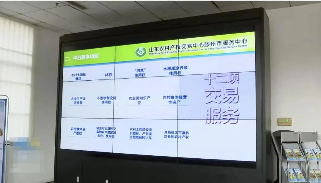 20210129101529215 20210129101529215